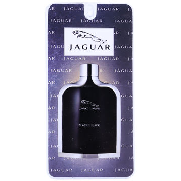 عطر جیبی مردانه Jaguar آرتینی